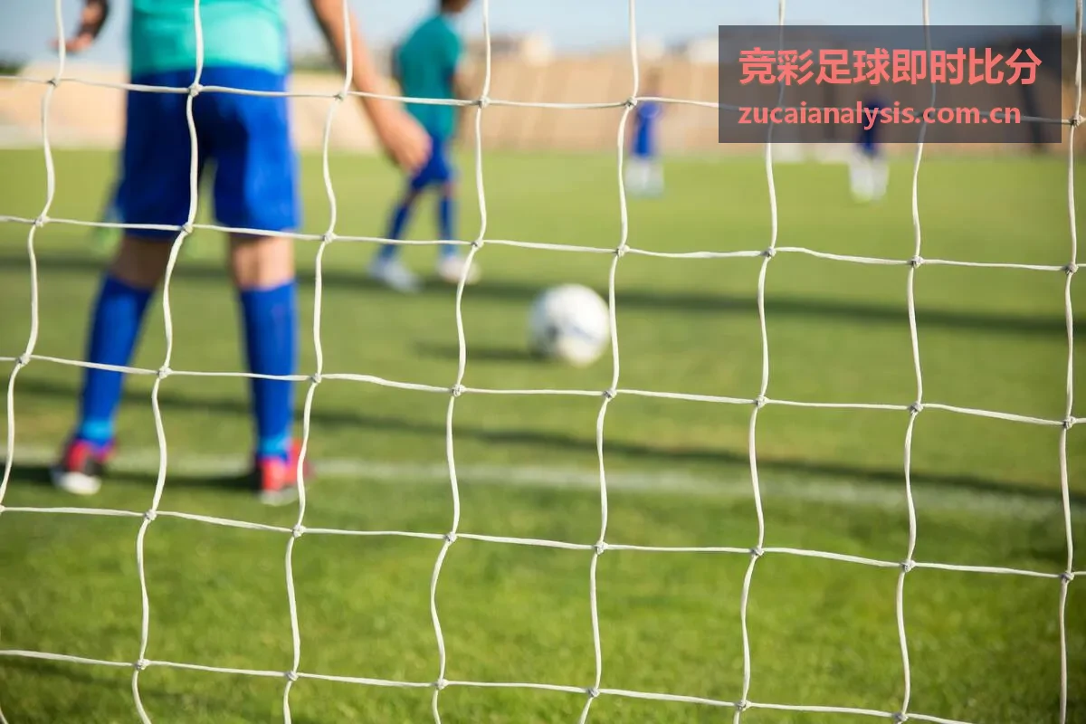 竞彩足球即时比分投注策略模块